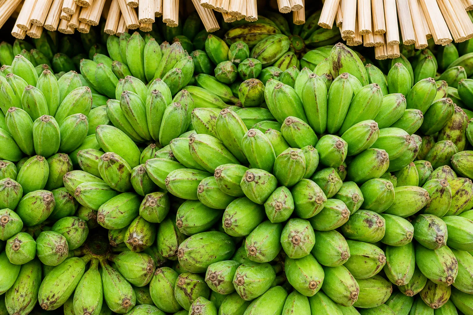 Saba Banana